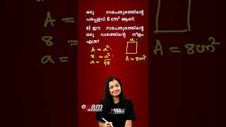Important Questions | New Numbers - Class 9 Maths