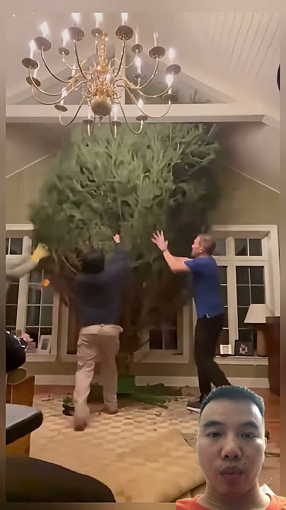 Jouny funny man perfect p349 #christmas #cristmasdecor #xmas #christmastree