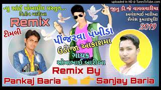 Pinjarva pankhida udija akasma somabhai bariya super hit timli