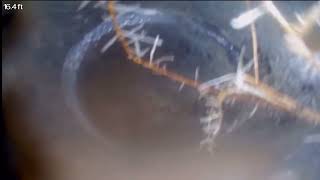 1080 Landavo Rancho Rd Escondido Video 2