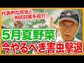 家庭菜園や農園の夏野菜栽培で5月にやるべき害虫撃退！今やる理由と予防対策と夏野菜の育て方！【農家直伝】