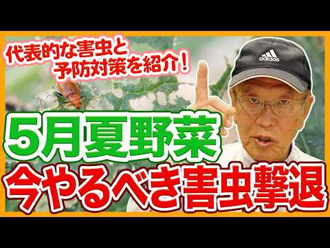 今すぐ準備を!庭を襲う新たな害虫5種と実践的対策