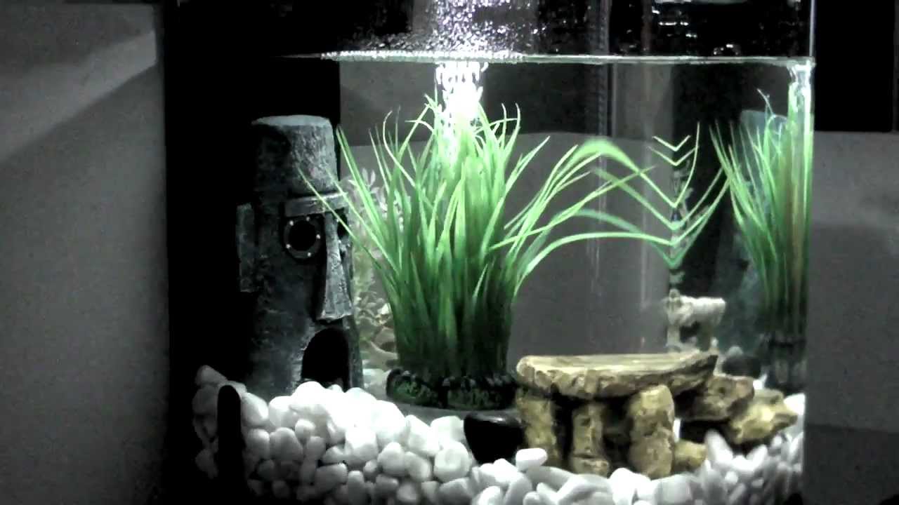 BiOrb Flow - YouTube
