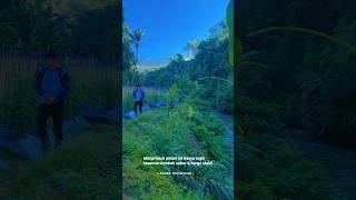 A simple life, but full of meaning🌿 #shorts #youtubeshorts #funny #viral #viralvideo #nature #short