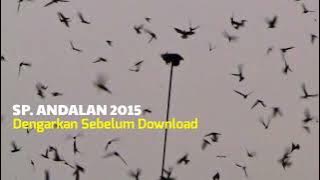 Download lagu Suara walet jass Josss Andalan 2015 ‼️