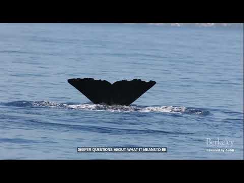 Sperm Whale Communication: