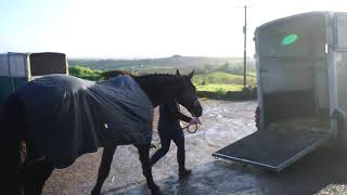 Life Of A Showjumper - A Short Doentary