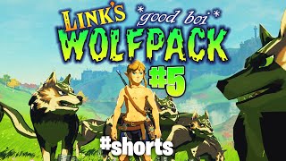Good Boi Wolf Link Pack Adventures 5