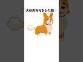 犬の可愛い不思議な行動 #犬 #ペット #雑学