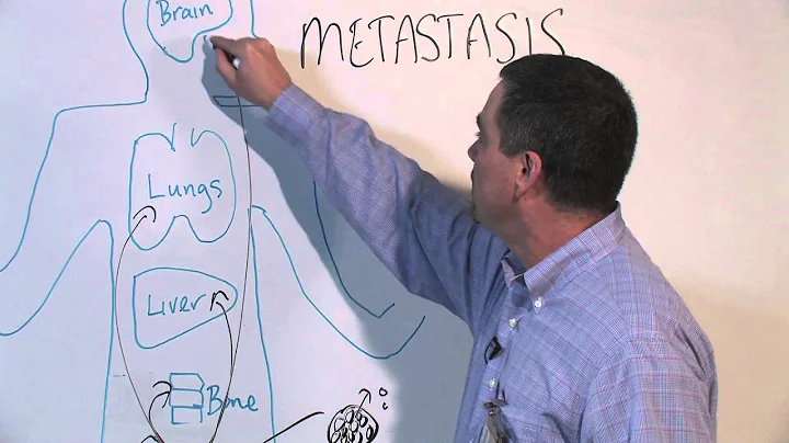 How Cancer Spreads (Metastasis) - Michael Henry, PhD - DayDayNews