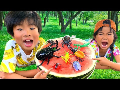 寸劇 かえであーたんは昆虫を捕まえたい 大きなカブトムシとクワガタをゲットできるかな Pretend Insect Catching