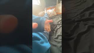 Cat Curls Up Inside Owner's Sleeve and Refuses to Come Out