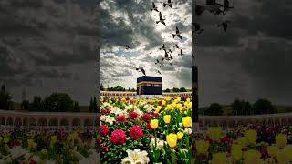 ai prithibi sristi tumar namer osilai #foryou #lifeisbutadream #ekmotahathighumechala