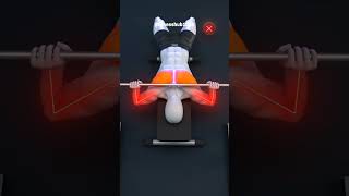 3D Body Training Animation | Ultimate Muscle Growth Workout 💪#viral