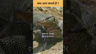 Amazing Facts About Monitor Lizard In Hindi