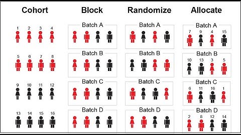 How to randomize alpha lattice design in R ?