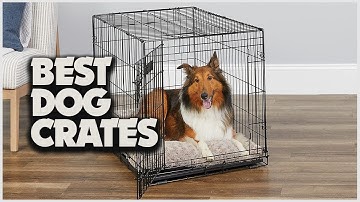 Ultimate Guide to the Best Dog Crates: Your Pup