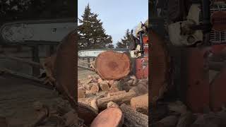 Stihl pro saw Face off MS361 Vs MS461