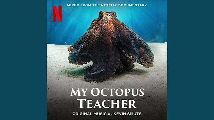 My Octopus Teacher End Credits