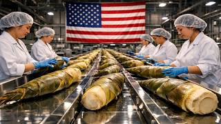 Amazing Tech! Inside a high-tech bamboo shoot processing factory( Full Process)