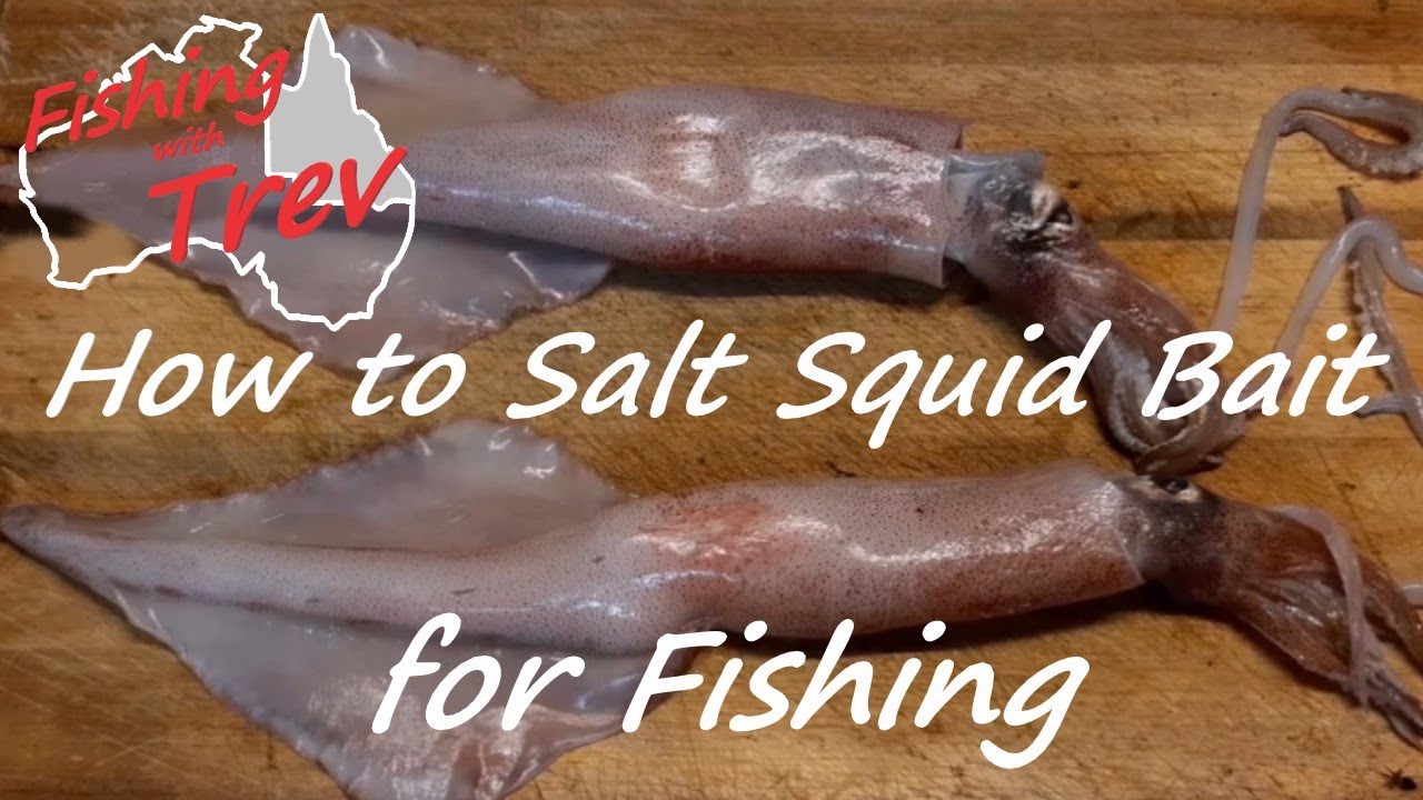 salted squid bait