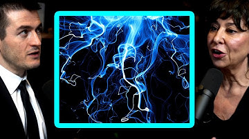 The next big breakthrough in physics | Janna Levin and Lex Fridman