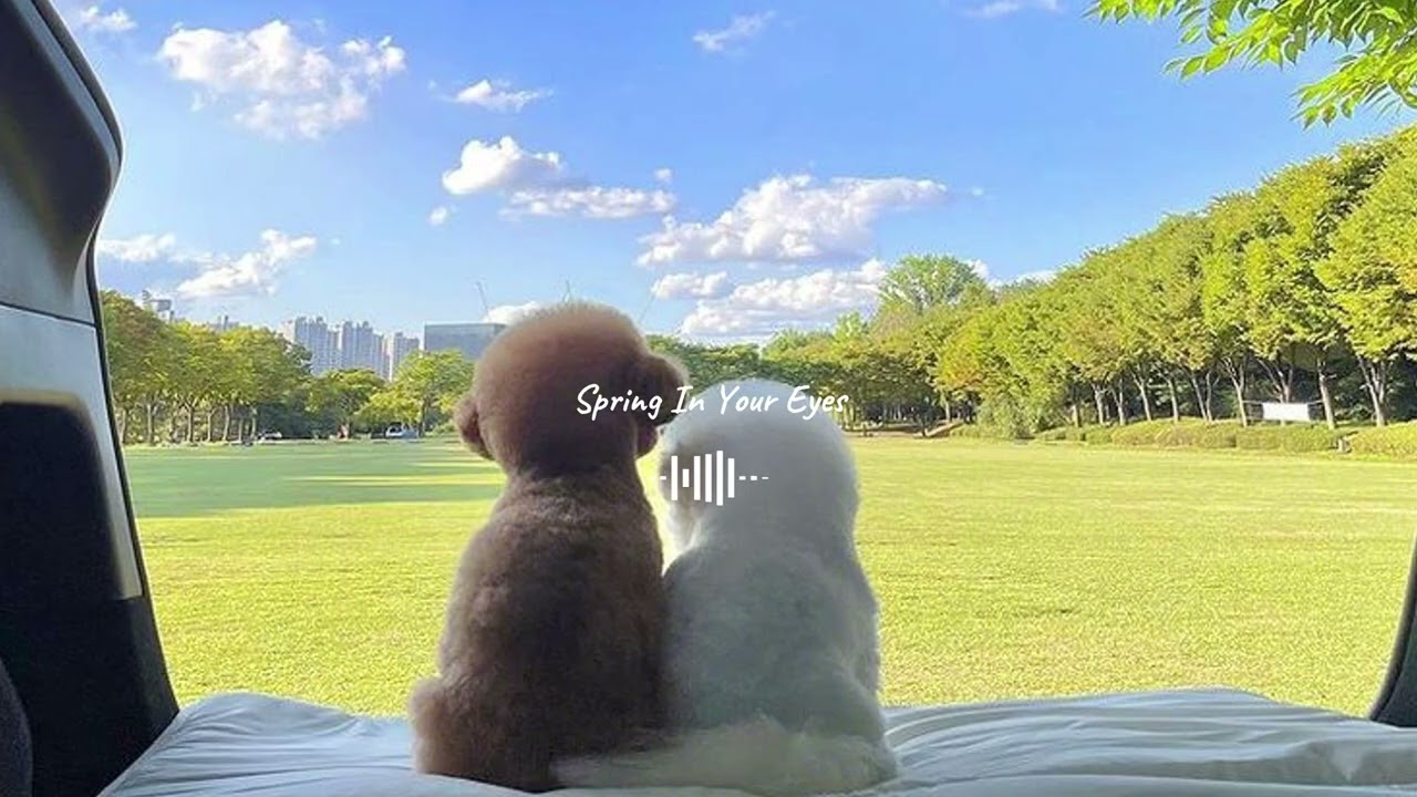 𝐏𝐥𝐚𝐲𝐥𝐢𝐬𝐭 날씨도 좋은데 산책 같이 나가는거 어때? | 매장음악•카페음악•노동요