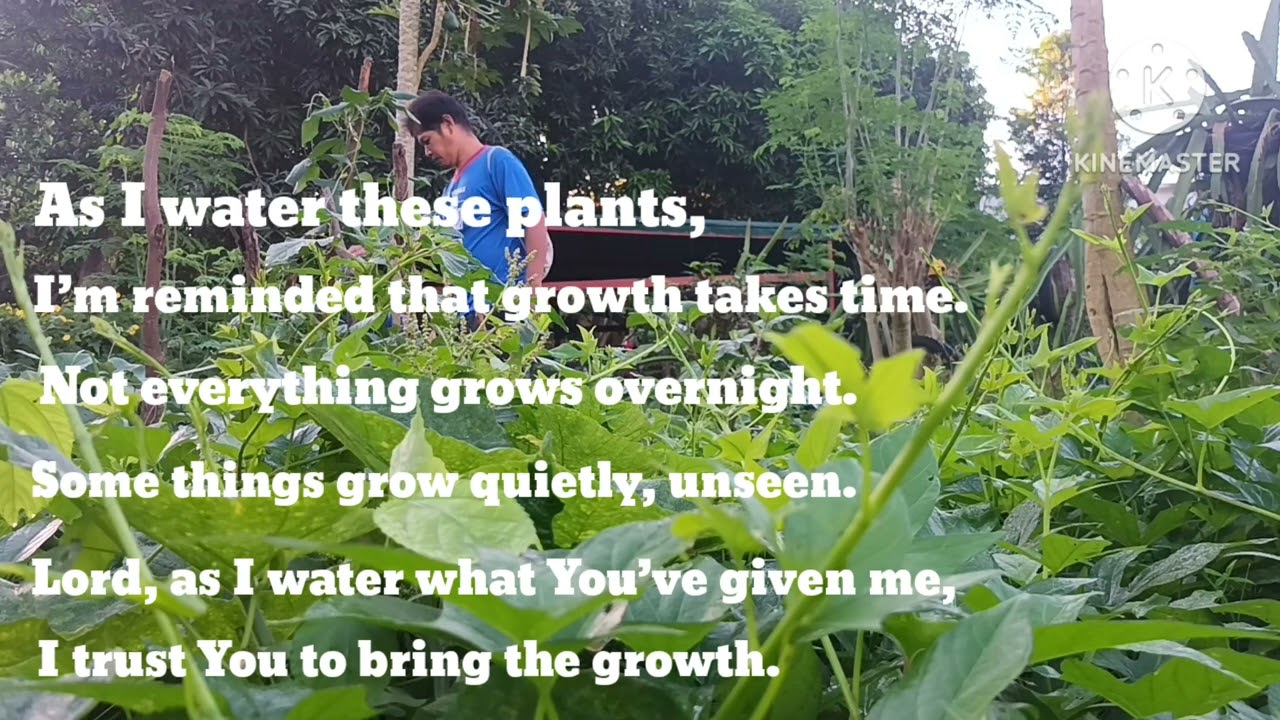 🌈🌿Like plants, blessings grow quietly. I water what God gave me and trust Him with the growth