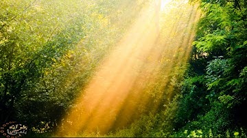 تلاوة جميلة | سورة التكوير ~ للقاري ابراهيم الجبرين