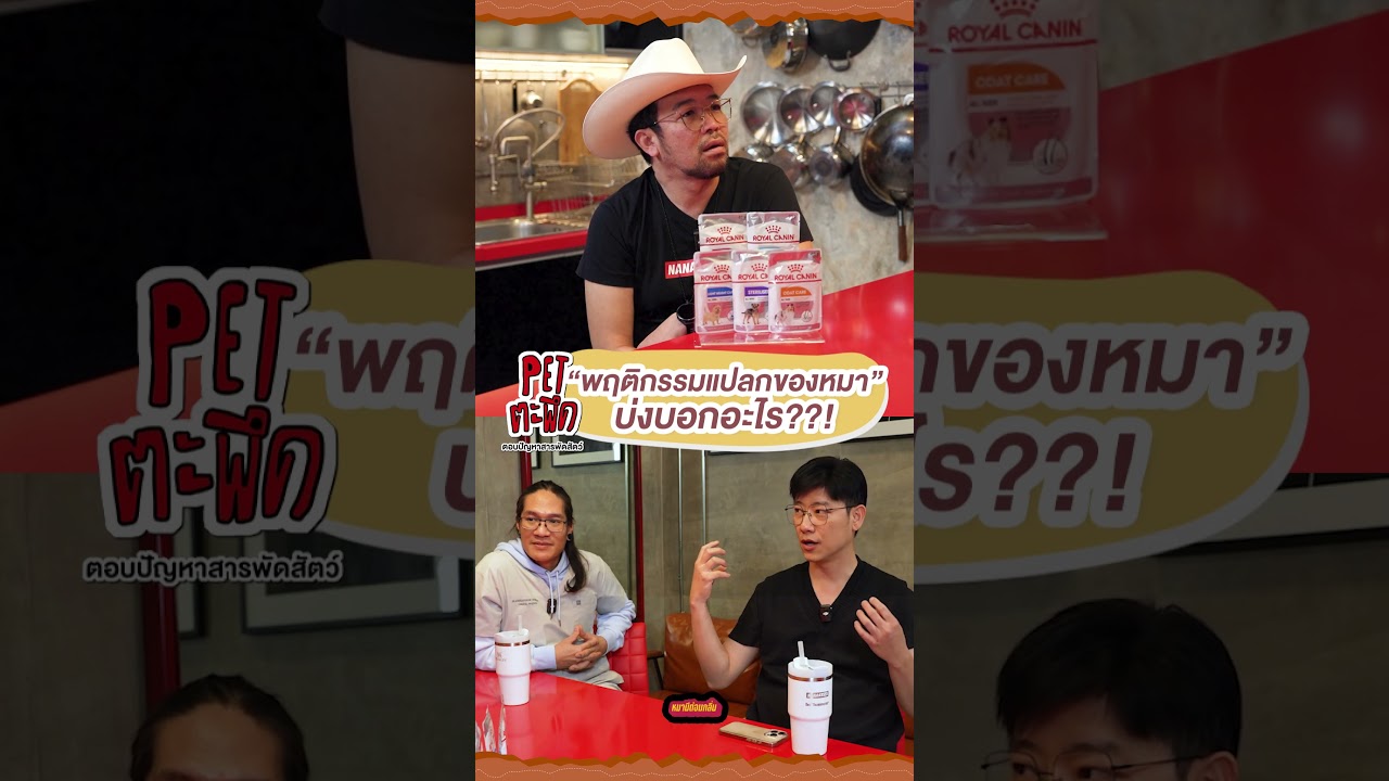"พฤติกรรมแปลกของหมา" บ่งบอกอะไร??!