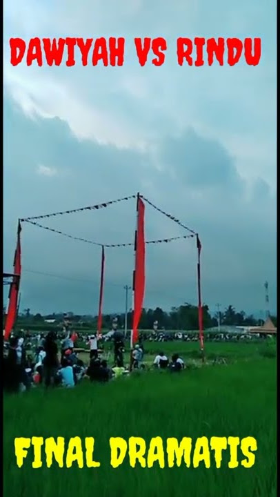 RINDU VS DAWIYAH FINAL TOTALAN 50JUTA LAPAK KRADENAN