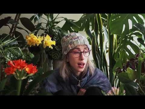 boci // The Garden // OFFICIAL MUSIC VIDEO