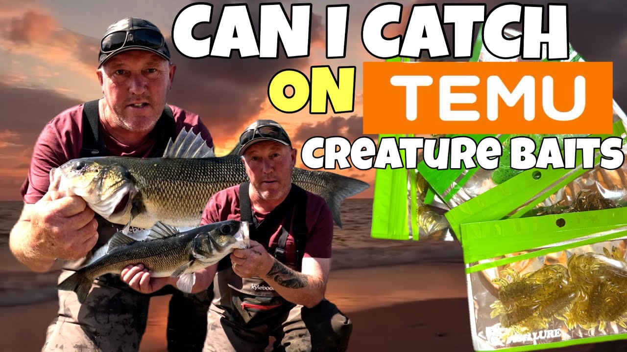 🎣 CATCHING BASS IN THE SHALLOWS! Temu Creature Baits Put to the Test!