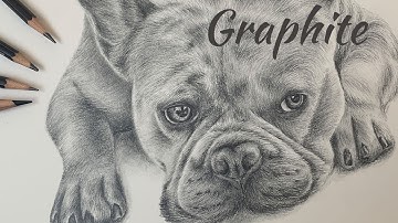 Why are VALUES important for REALISM? Drawing a French Bulldog using graphite