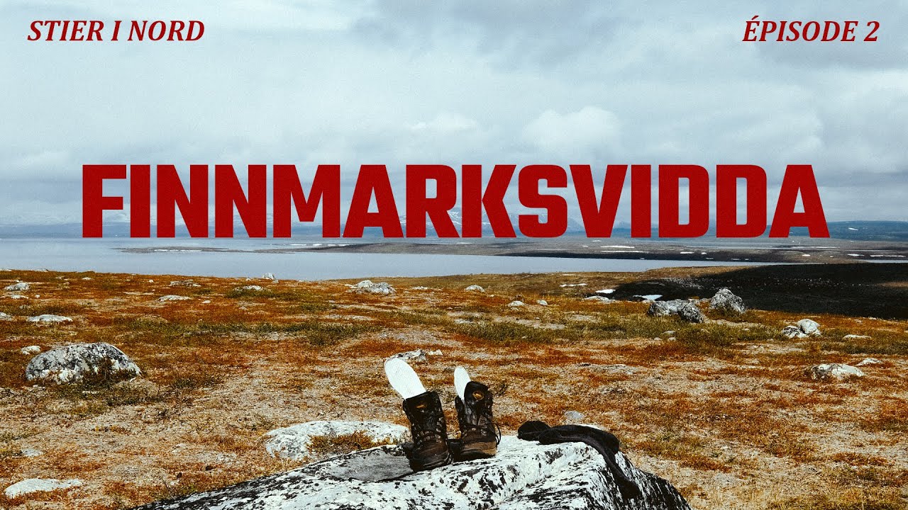 Solitude sur les hauts-plateaux du Finnmark | Stier i Nord #2