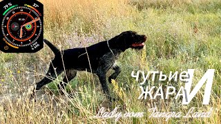 картинка: Проверка Чутье в Жаре ...