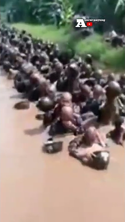 Satu batalyon tentara ini mandi wajib bareng😄😂 #shorts #tni