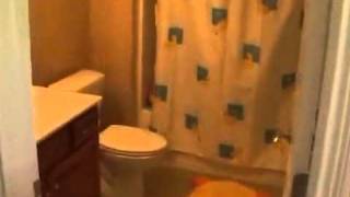 7381 Sapphire Court, Plainfield, Indiana