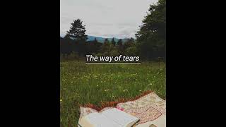 The Way Of Tears || [speed up] Resimi