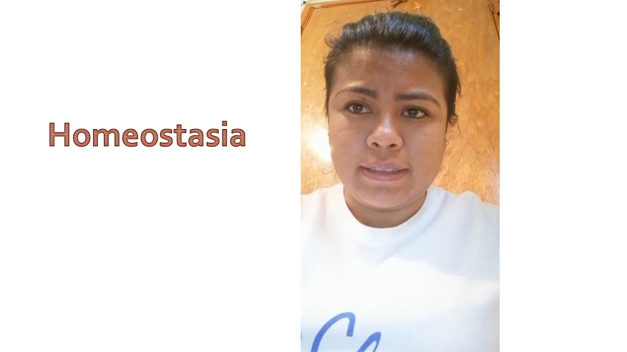 A2T1 Generalidades Rubio Angelica YouTube