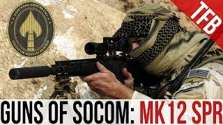 Guns of SOCOM: The Mk12 Special Purpose Rifle