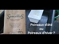 Poireaux dhiver ou poireaux dt 