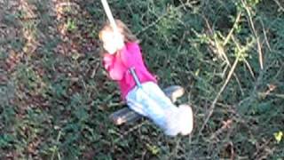 Platform Swing II