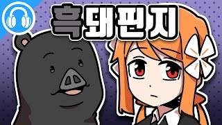 꽃돼핀지? 흑돼핀지!