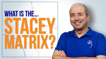 Wat is de Stacey Matrix? Simpel, gecompliceerd, complex en chaotisch