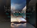 Tilawat Quran Pak Video No 614 #quran#islamicviralvideo#grwm2023#youtuber#beatifulquranvideo#buyan