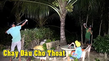 Săn Bắt Chuột Đêm Bằng Ná Cao Su, Củ Tỏi Hạ Cò Và Rắn Lãi Chà Bá/NGÃ NĂM TV