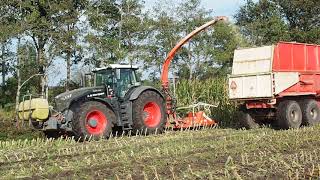 Maisoogst 2020 met Fendt 1050 520 PK de Vries Ryptsjerk