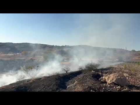 Besni’de ormanlık alanda korkutan yangın
