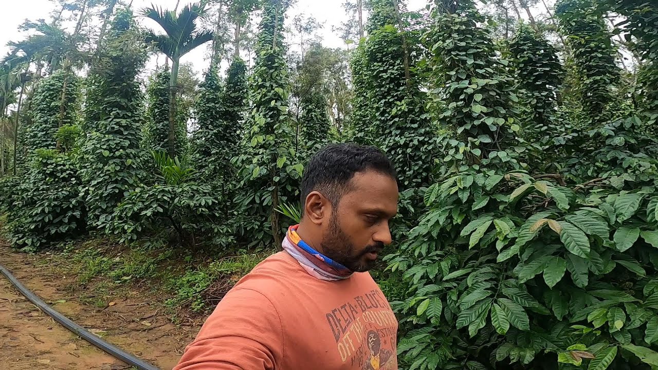 REVIEW OF BIO 20 MICRONUTRIENTS BLACK PEPPER| MY FRIEND'S SURPRISE VISIT AFTER 4 YEARS